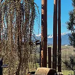 Panorama *