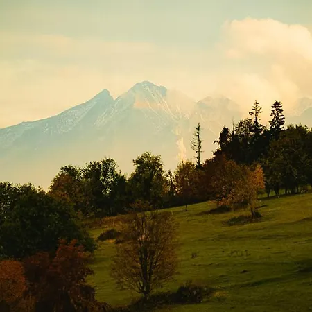 Alpstuga Panorama *