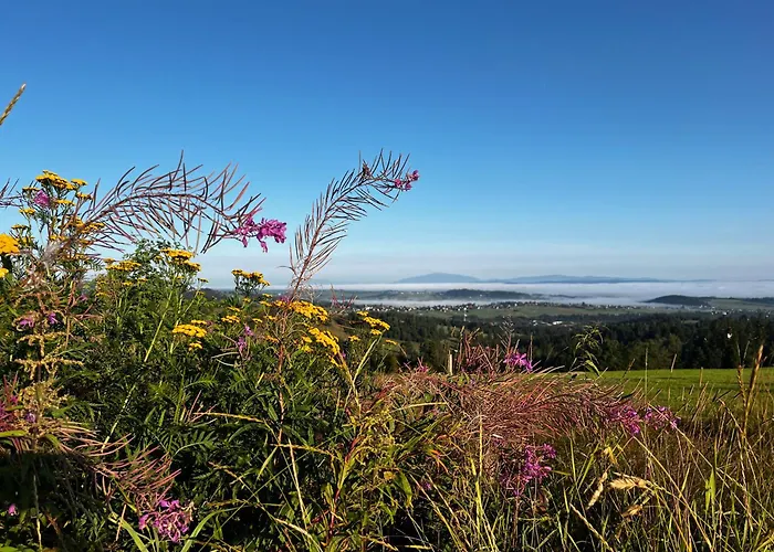 Alpehytte Panorama *